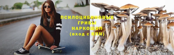 а пвп мука Куйбышев