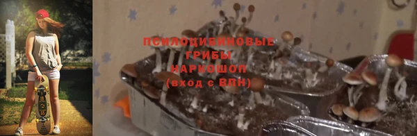 спиды Кулебаки