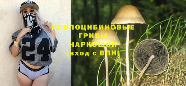 а пвп мука Куйбышев
