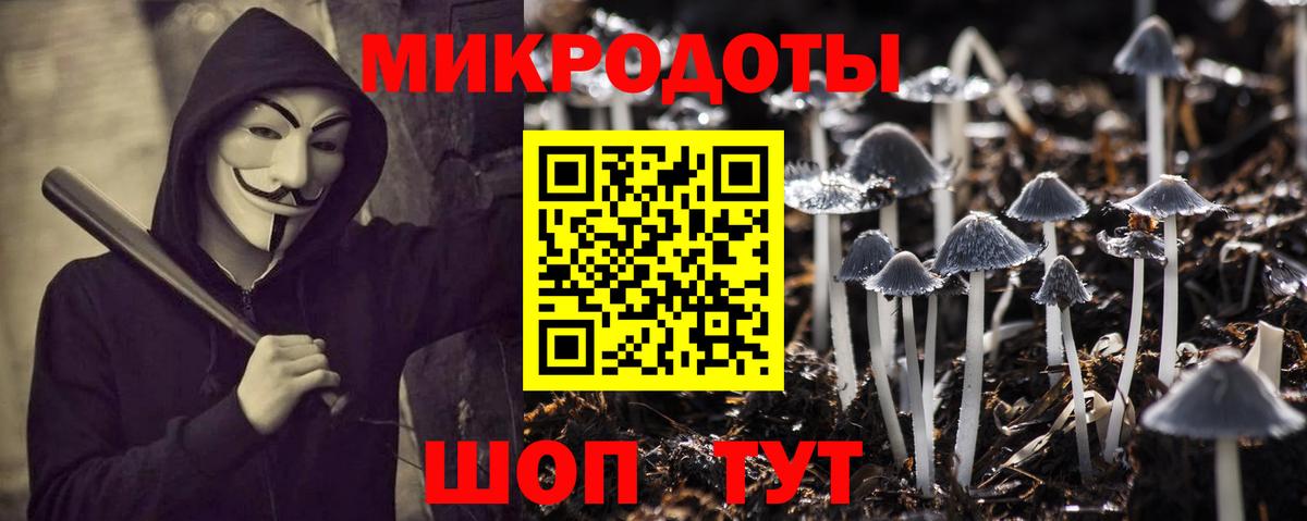 Тихорецк  Псилоцибиновые грибы мухоморы  Вход с VPN 